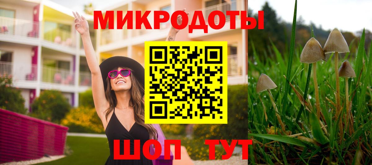 Псилоцибиновые грибы прущие грибы  Галлюциногенные грибы Psilocybe  Сарапул  Вход с VPN 